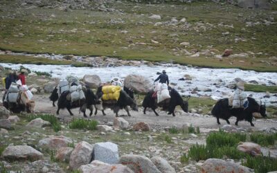 Tibetan Nomad Life