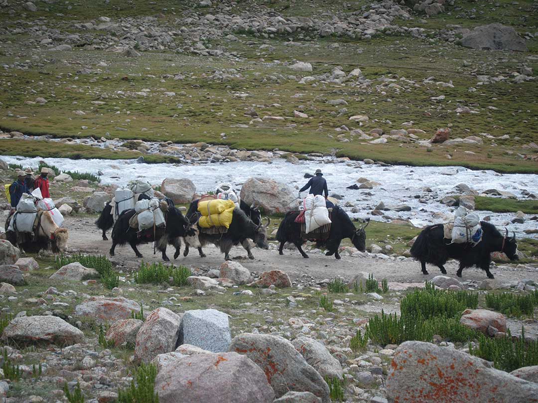 Tibetan Nomad Life